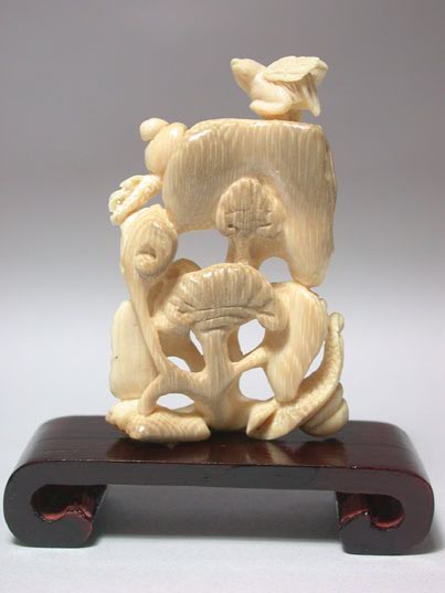 adb0291 Genuine Mammoth Ivory Netsuke Bird Fungus