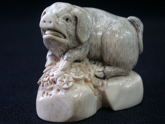 11312470 Fine Genuine Mammoth Ivory Netsuke Wild Boar