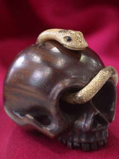 win4004 ebony wood mammoth ivory netsuke snake in skull
